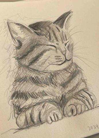 廖訢妤 - 素描&mdash;貓咪