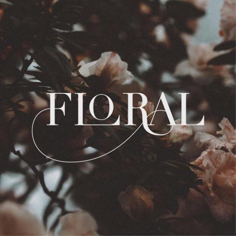 Fan - 英文字體設計