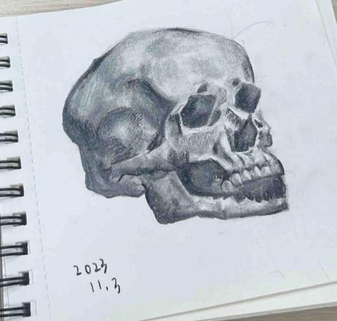 廖訢妤 - 碳筆骷髏頭素描