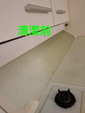 錸潔環保企業社 - 