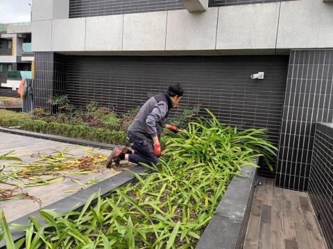 李坤成 （米國隊長） - 北投曉陽明註點 頂樓施作