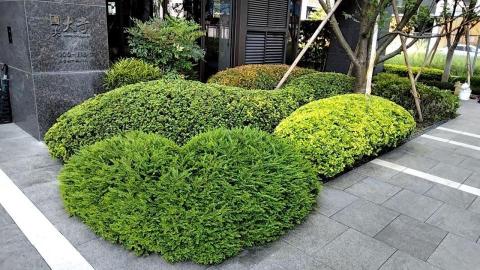 李坤成 （米國隊長） - 北投國美社區 住宅冠軍賞