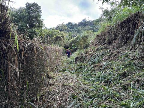 森活空間企業社 - 