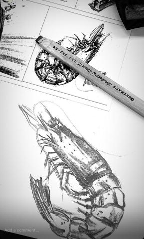 黃郁淇 - 扁筆練習