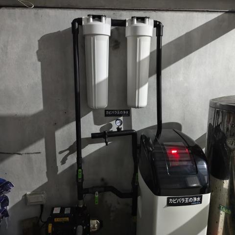 水豚君淨水 - 暗黑系列