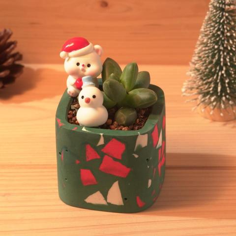 誠十創意 - 聖誕多肉磨石子盆栽 誠十創意 - 聖誕多肉磨石子盆栽