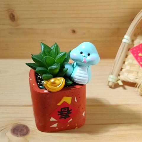 誠十創意 - 新年多肉磨石子盆栽 誠十創意 - 新年多肉磨石子盆栽