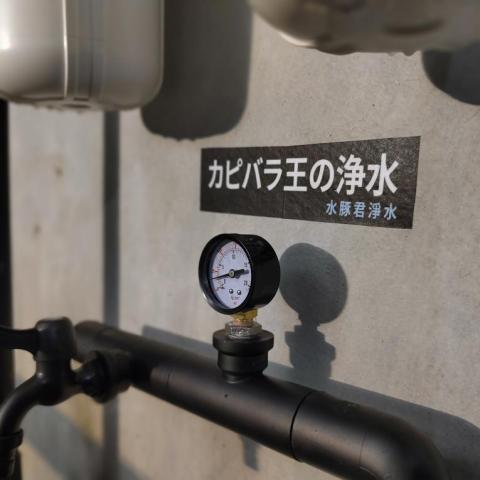 水豚君淨水 - 暗黑系列