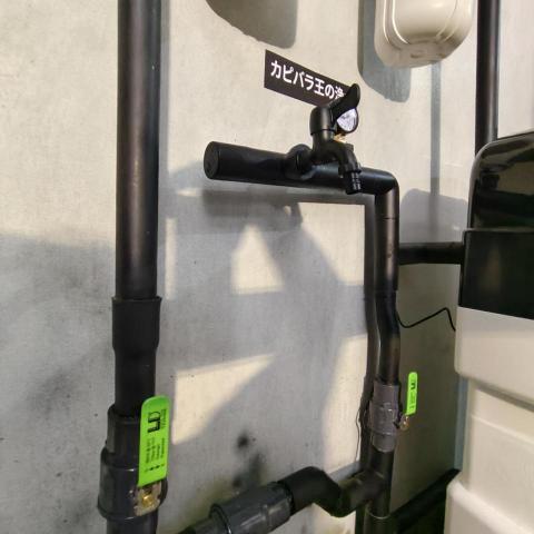 水豚君淨水 - 暗黑系列