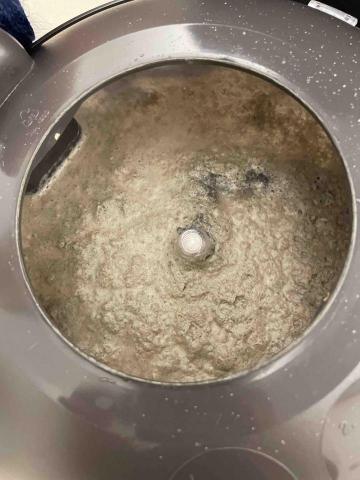 立來清除蟎工作室 - 成果照 (貓狗毛居多)