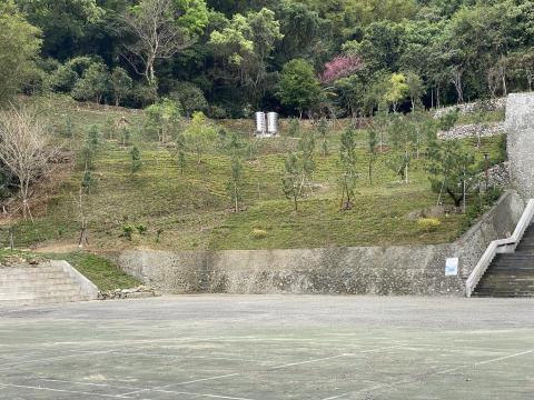 樂合草皮 - 山坡地水土保持鋪設