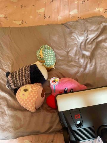 立來清除蟎工作室 - 枕頭棉被 娃娃