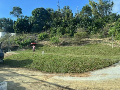 樂合草皮 - 果園山坡地鋪設、專業水土保持