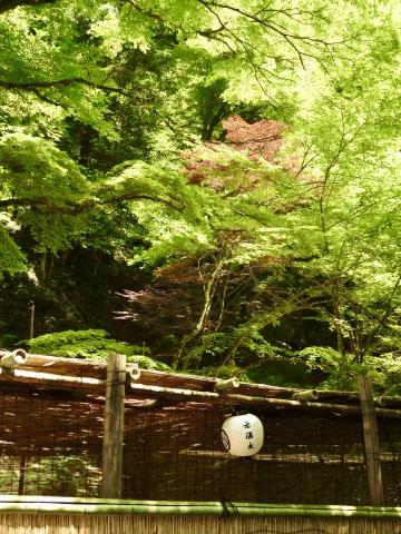 尚騰 - 風景攝影-京都山區