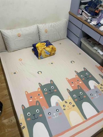 立來清除蟎工作室 - 床墊完成照