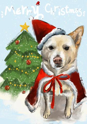 tongtong - 聖誕賀卡