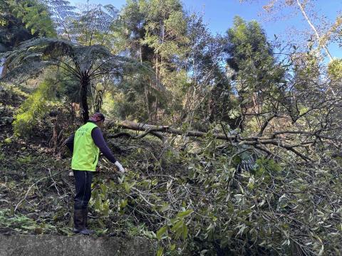 森活空間企業社 - 