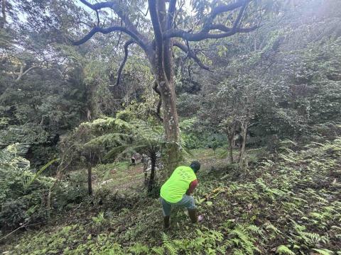 森活空間企業社 - 