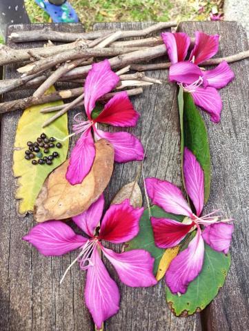 呂小姐 - 自然素材創作