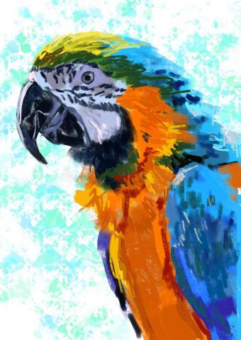 tongtong - 寵物描繪