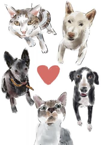 tongtong - 寵物描繪