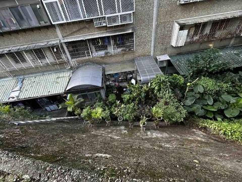 專業服務團隊 - 三層樓除草完工照片