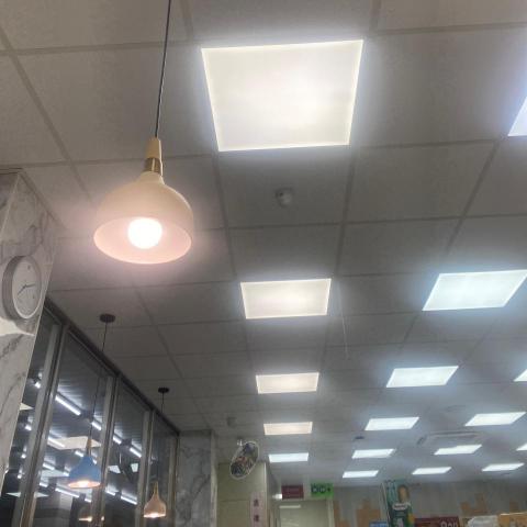 提供達人服務的專家都建豪