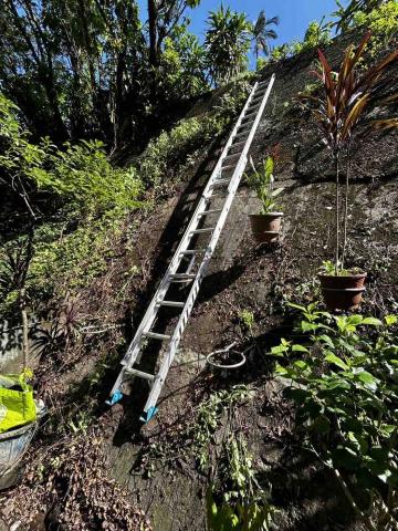 專業服務團隊 - 13呎伸縮階梯作業