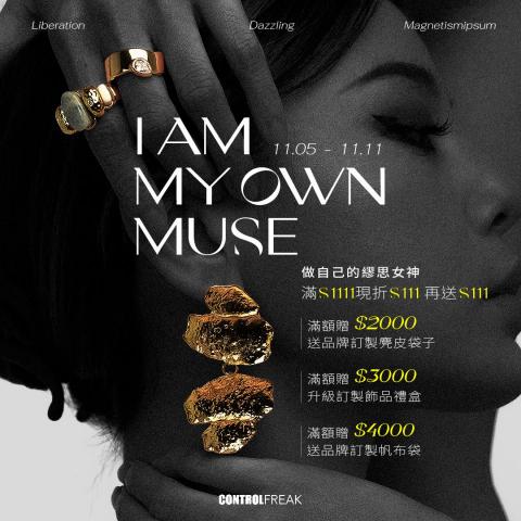 陳韋丞 - 飾品品牌雙11廣告投放設計