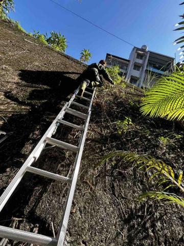專業服務團隊 - 三層樓除草作業