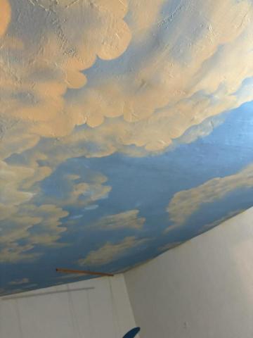 乙辰有限公司 - 天花板油漆彩繪1
