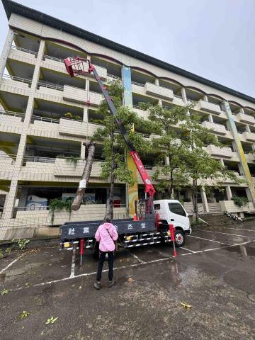 🪽森羽園藝 - 樹木移除