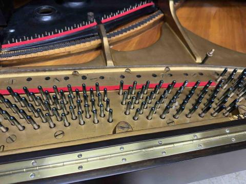 陳信仲 - 史坦威鋼琴更新調音釘琴絃