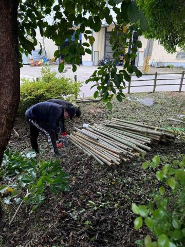 🪽森羽園藝 - 竹製柵欄更換