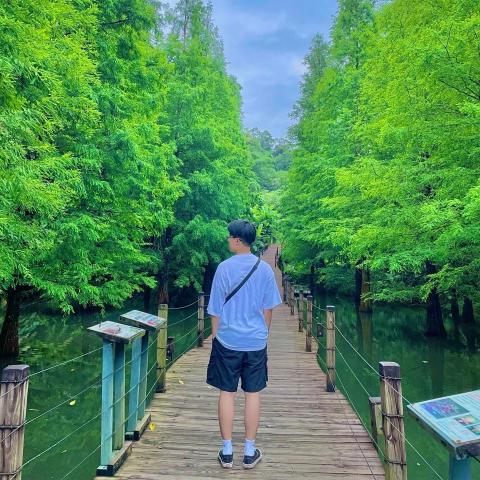 提供宣傳海報服務的專家Oswald