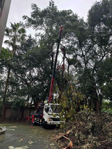 🪽森羽園藝 - 樹木修剪垂吊清運