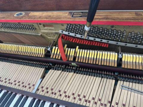 陳信仲 - 美國波音鋼琴