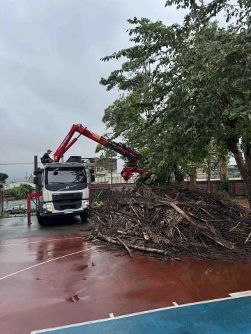 🪽森羽園藝 - 樹木移除清運