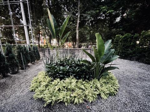 昊麒景觀設計 - 接待中心設計種植工程