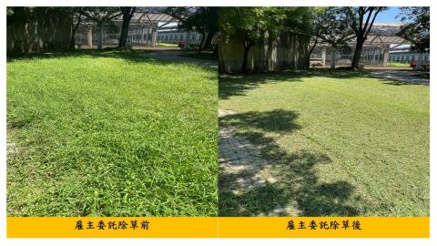 佳順園藝 - 雇主委託除草前後對照5