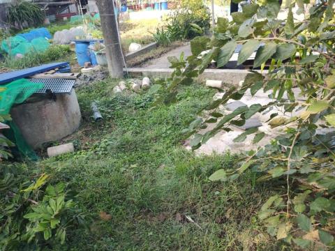 兼差除草（假日） - 割草前