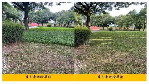 佳順園藝 - 雇主委託除草前後對照1