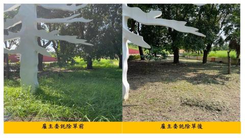 佳順園藝 - 雇主委託除草前後對照9