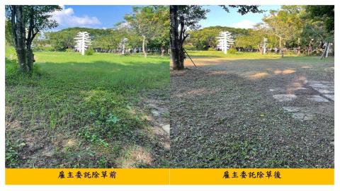 佳順園藝 - 雇主委託除草前後對照12