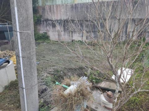 兼差除草（假日） - 割草後