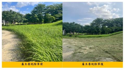 佳順園藝 - 雇主委託除草前後對照3