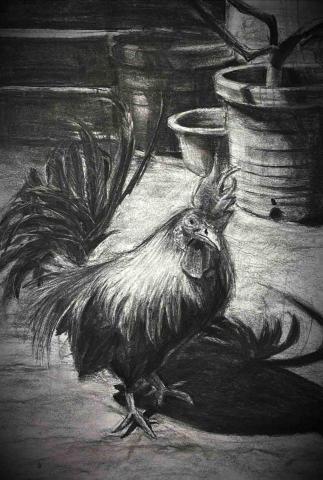 黃冠錦 - 素描炭筆