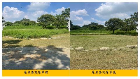 佳順園藝 - 雇主委託除草前後對照10