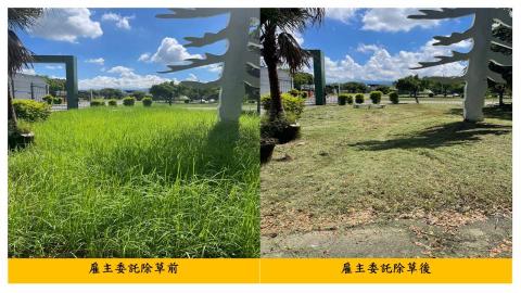 佳順園藝 - 雇主委託除草前後對照7
