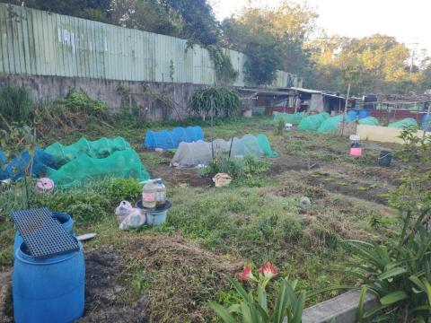 兼差除草（假日） - 